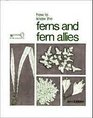 How to know the ferns and fern allies
