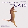 Dancing with Cats 2001 Wall Calendar