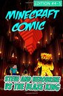 Minecraft Comic Book Steve and Herobrine vs The Blaze King   Edition 45