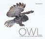 Owl A Year in the Lives of North American Owls