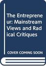 The Entrepreneur Mainstream Views and Radical Critiques Second Edition
