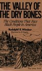 The Valley of the Dry Bones The Conditions That Face Black People in America