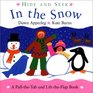 Hide and Seek In the Snow  A PulltheTab and LifttheFlap Book