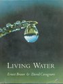 Living water