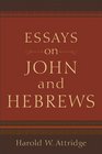 Essays on John and Hebrews