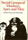 Social Groups of Monkeys Apes and Men