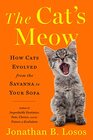 The Cat's Meow How Cats Evolved from the Savanna to Your Sofa