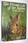 The Private Life of the Rabbit An Account of the Life History and Social Behavior of the Wild Rabbit