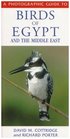 A Photographic Guide to the Birds of Egypt