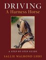 Driving a Harness Horse A StepByStep Guide