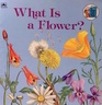What is a Flower