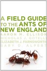 A Field Guide to the Ants of New England