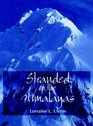 Stranded in the Himalayas Activity