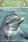 Dolphins and Sharks A Nonfiction Companion to Dolphins at Daybreak