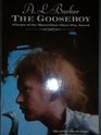 The Gooseboy