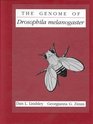 Genome of Drosophila Melanogaster