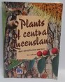 Plants of central Queensland Their identification and uses