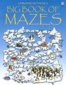 The Big Book of Mazes