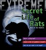 Extreme Science the Secret Life of Rats Rise of the Rodents