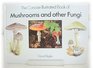 Mushrooms and Other Fungi