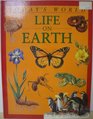 Life on earth