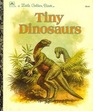 Tiny dinosaurs