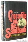Crocodile on the Sandbank