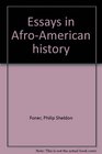 Essays in AfroAmerican history