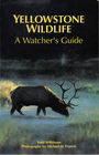 Yellowstone Wildlife A Watcher's Guide
