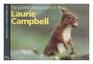 Wild Life Photographs of Laurie Campbell