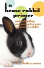 A House Rabbit Primer: Understanding and Caring for Your Companion Rabbit