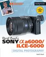 David Busch's Sony Alpha a6000/ILCE6000 Guide to Digital Photography