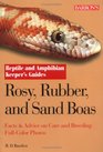 Rosy Rubber and Sand Boas Facts  Advice on Care and Breeding