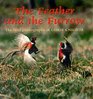 The Feather and the Furrow The Bird Photographs of Chris Knight