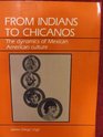 From Indians to Chicanos A sociocultural history