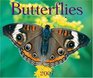 Butterflies 2007