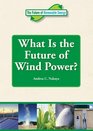 What Is the Future of Wind Power