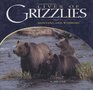 Lives Of Grizzlies Montana and Wyoming