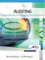 Auditing  Concepts for a Changing Environment