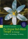 Die Original Bach Bltentherapie fr Einsteiger Die Blten Die Anwendung Die Wirkung