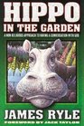 Hippo in the Garden a NonReligious Approach to Having a Conversation With God