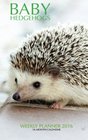 Baby Hedgehogs Weekly Planner 2016 16 Month Calendar