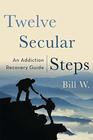 Twelve Secular Steps An Addiction Recovery Guide