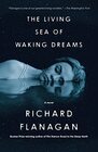 The Living Sea of Waking Dreams A novel