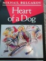 Heart of a dog