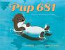 Pup 681 A Sea Otter Rescue Story
