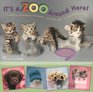 It's a Zoo Around Here by Rachael Hale 2008 Wall Planner