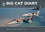 Big Cat Diary The Last Year of the Jaguar With 6 Squadron Raf