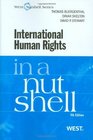 International Human Rights in a Nutshell 4th Ed