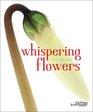 Whispering Flowers Ikebana